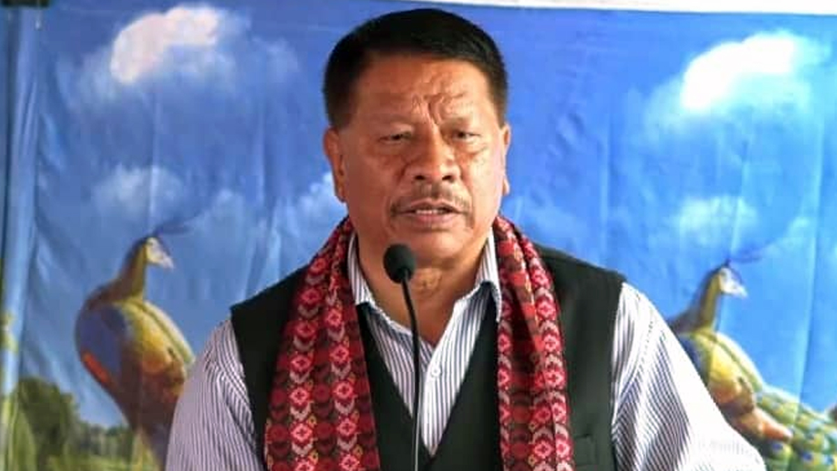 स्थिरता र आर्थिक विकास लागि गठबन्धनलाई मत दिन नेता सिंहको आग्रह
